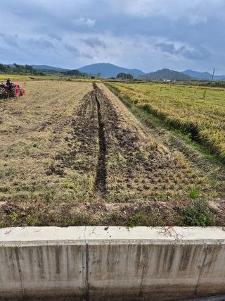 김영진(전남영광)님의 자유주제 · 자유게시판 작성글 사진