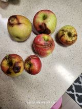 팜모닝 자유주제·자유게시판 게시글 이미지