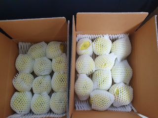 써니네님의 작성글 사진