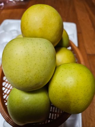 스마일님의 작성글 사진