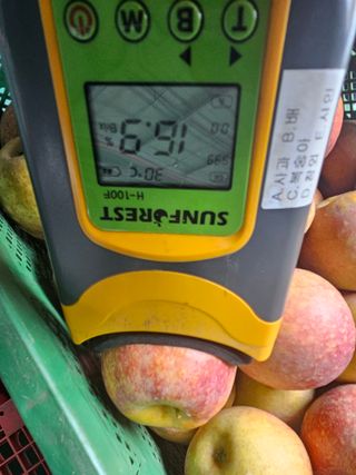 써니네님의 작성글 사진