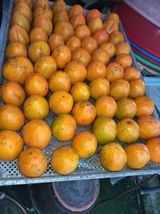 팜모닝 · 게시글 이미지