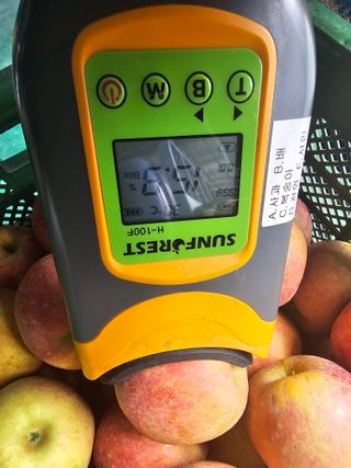 써니네님의 작성글 사진