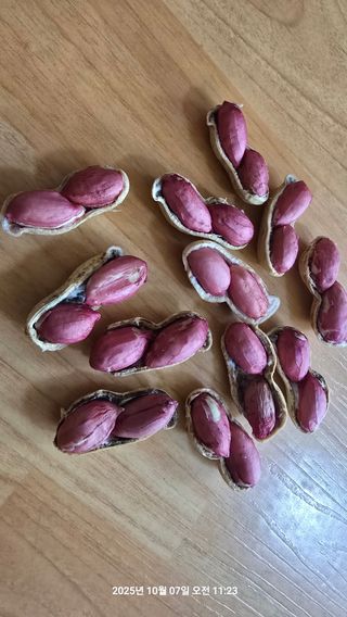 황규복(달구지)님의 자유주제 · 자유게시판 작성글 사진