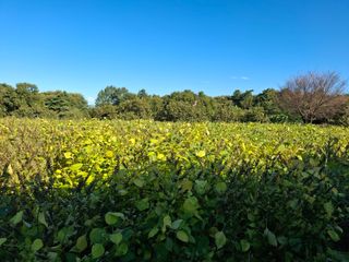 윤영숙소화데레사님의 자유주제 · 자유게시판 작성글 사진