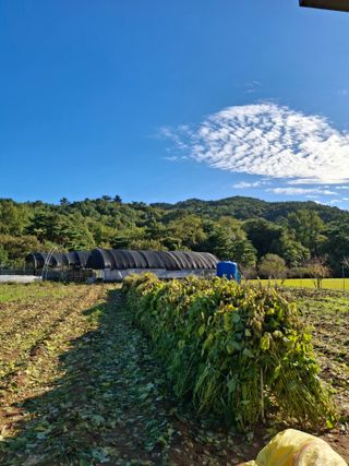 윤영숙소화데레사님의 자유주제 · 자유게시판 작성글 사진