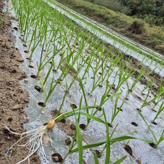 박흠님의 자유주제 · 사진전 작성글 사진