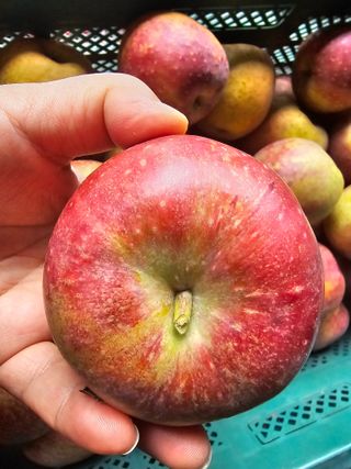 써니네님의 작성글 사진