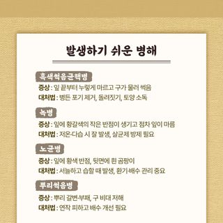 누보농장님의 자유주제 · 자유게시판 작성글 사진