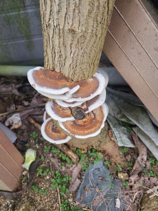 박승호님의 자유주제 · 자유게시판 작성글 사진