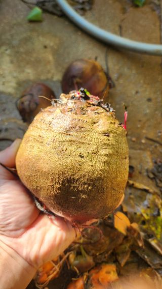 조한솔님의 자유주제 · 자유게시판 작성글 사진
