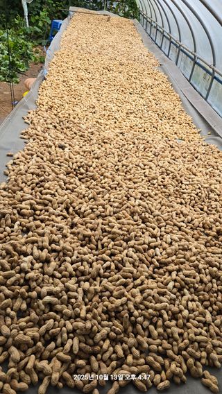 황규복(달구지)님의 자유주제 · 자유게시판 작성글 사진