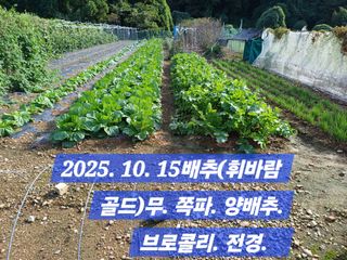 박성민님의 자유주제 · 자유게시판 작성글 사진