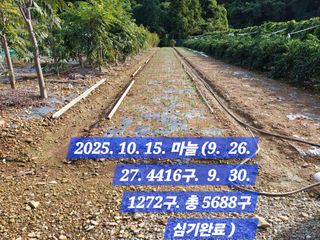 박성민님의 자유주제 · 자유게시판 작성글 사진