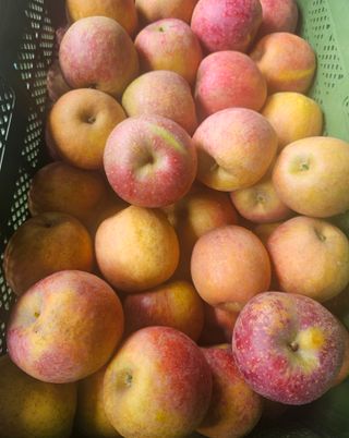 써니네님의 작성글 사진