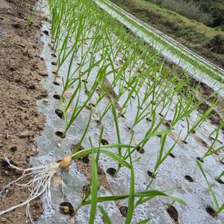 박흠님의 자유주제 · 사진전 작성글 사진