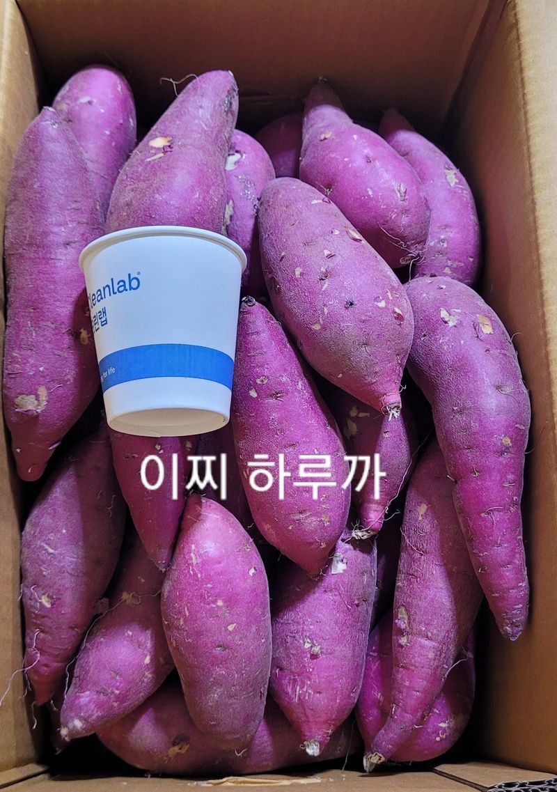 장터 상품 [맛좋은 이찌 하루까 10kg] 썸네일