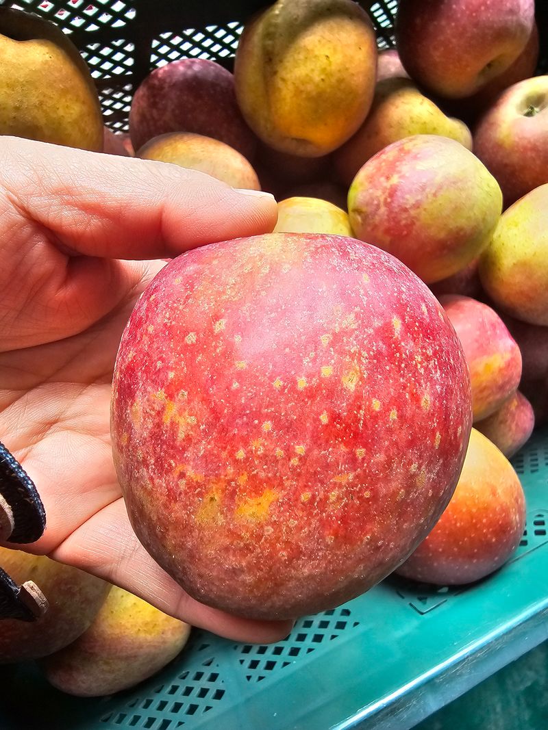 장터 상품 [고당도 찐한  감홍사과 드세요] 썸네일