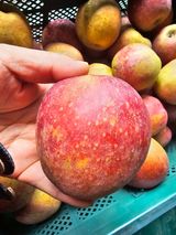 팜모닝 · 게시글 이미지