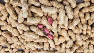 황규복(달구지)님의 자유주제 · 자유게시판 작성글 사진