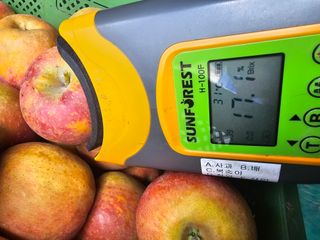 써니네님의 작성글 사진