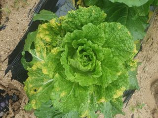 정승교님의 자유주제 · 자유게시판 작성글 사진