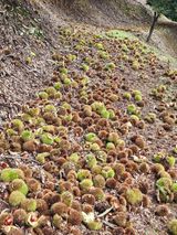 팜모닝 · 게시글 이미지