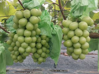 달빛이머무는곳님의 작성글 사진