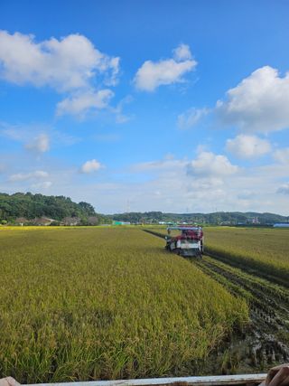 항즐인(즐거운사람)님의 자유주제 · 자유게시판 작성글 사진