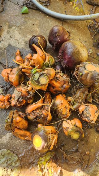 조한솔님의 자유주제 · 자유게시판 작성글 사진