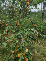 팜모닝 자유주제·자유게시판 게시글 이미지