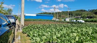 김길수님의 자유주제 · 자유게시판 작성글 사진