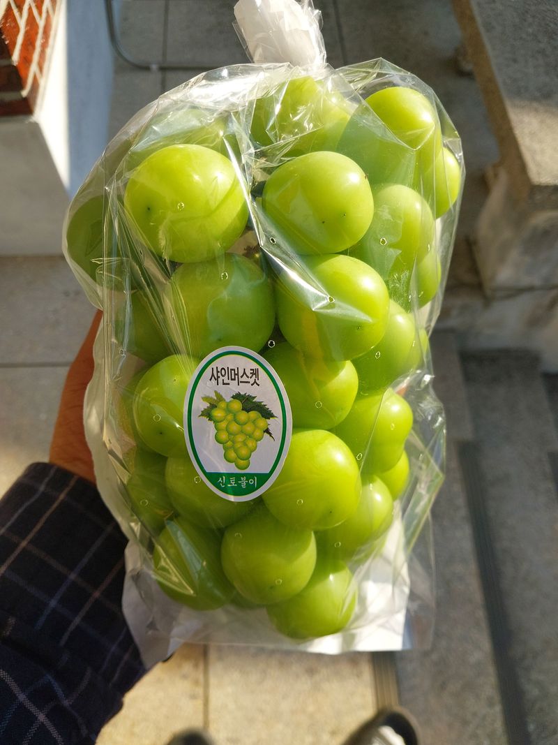 달빛이머무는곳님의 장터 판매 상품 [(할인)샤인머스켓 2kg/4kg 무료배송] 첨부 사진