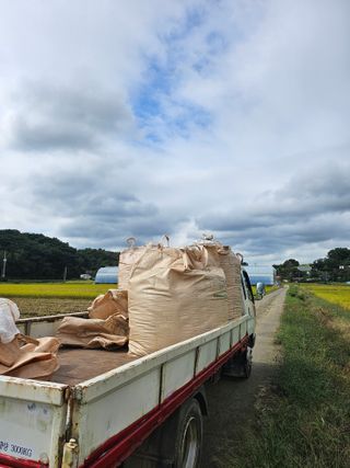 항즐인(즐거운사람)님의 자유주제 · 자유게시판 작성글 사진