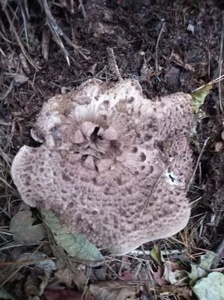 연향님의 자유주제 · 자유게시판 작성글 사진