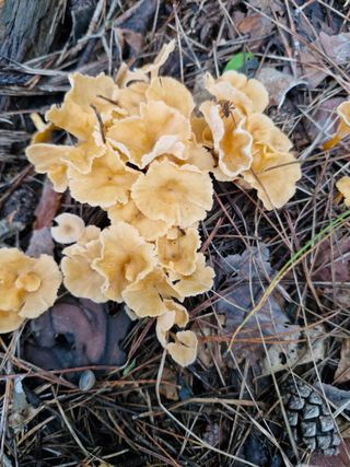 님의 자유주제 · 자유게시판 작성글 사진