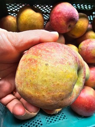 써니네님의 작성글 사진