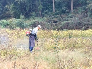 강근희님의 자유주제 · 자유게시판 작성글 사진