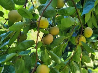 독고다이님의 작성글 사진