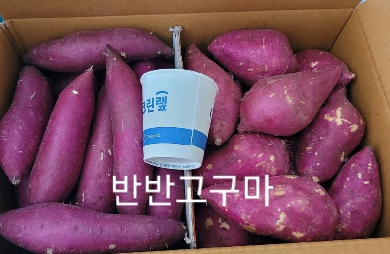 사랑꽃농장님의 장터 판매 상품 [맛좋은 이찌 하루까 10kg] 첨부 사진