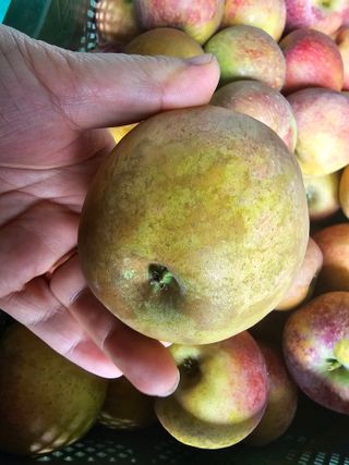 써니네님의 작성글 사진