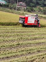 팜모닝 자유주제·자유게시판 게시글 이미지