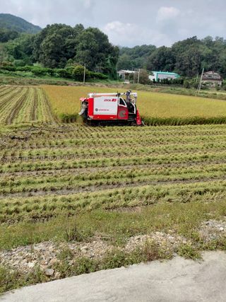 좋은인연원님의 자유주제 · 자유게시판 작성글 사진