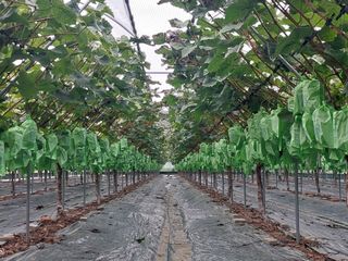 달빛이머무는곳님의 작성글 사진