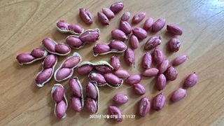 황규복(달구지)님의 자유주제 · 자유게시판 작성글 사진