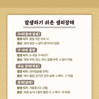 누보농장님의 자유주제 · 자유게시판 작성글 사진