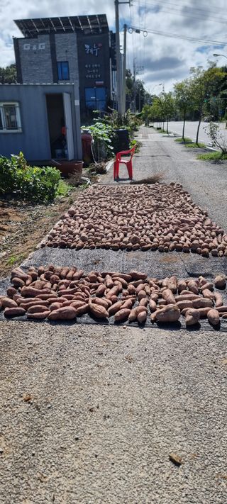 김길수님의 자유주제 · 자유게시판 작성글 사진