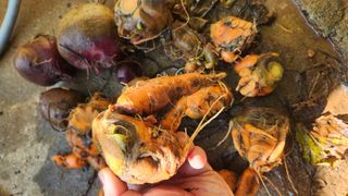 조한솔님의 자유주제 · 자유게시판 작성글 사진