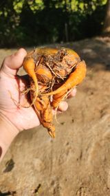 팜모닝 자유주제·자유게시판 게시글 이미지