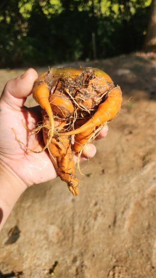 조한솔님의 자유주제 · 자유게시판 작성글 사진